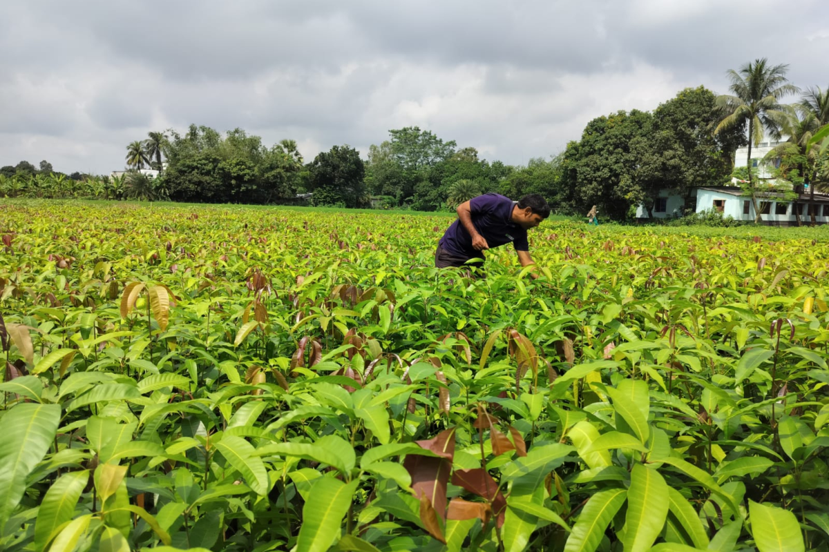 India’s Varaha raises $20M to scale carbon removal globally