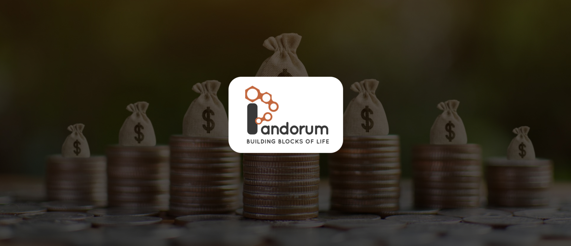 Pandorum raises $18M Series B to advance regenerative biotech